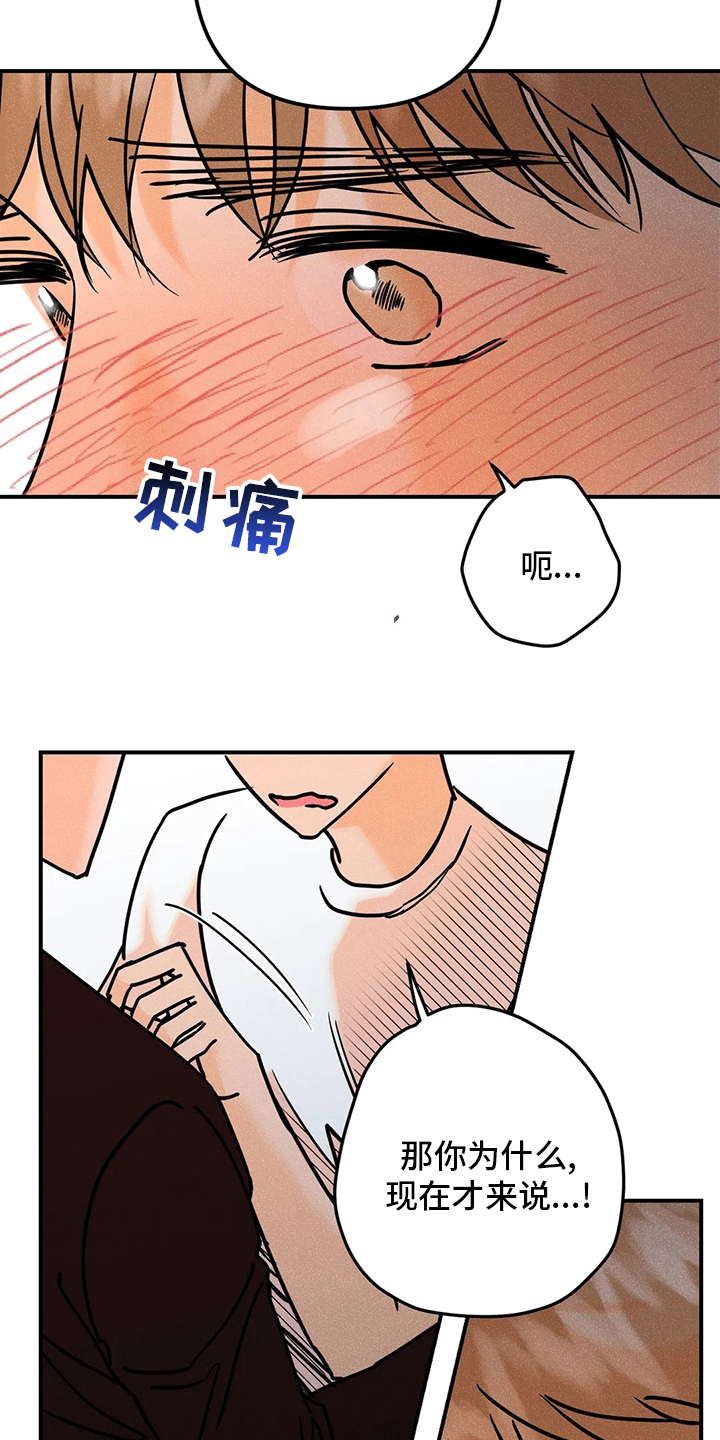 爱的赞歌l'hymne漫画,第79章：【完结】初恋2图