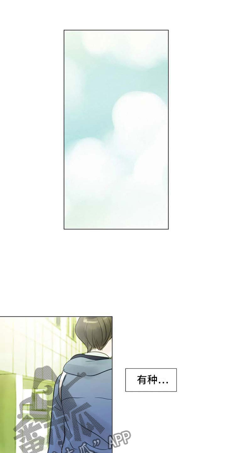 艺术之星奖状内容怎么写漫画,第30章：秘密探寻1图
