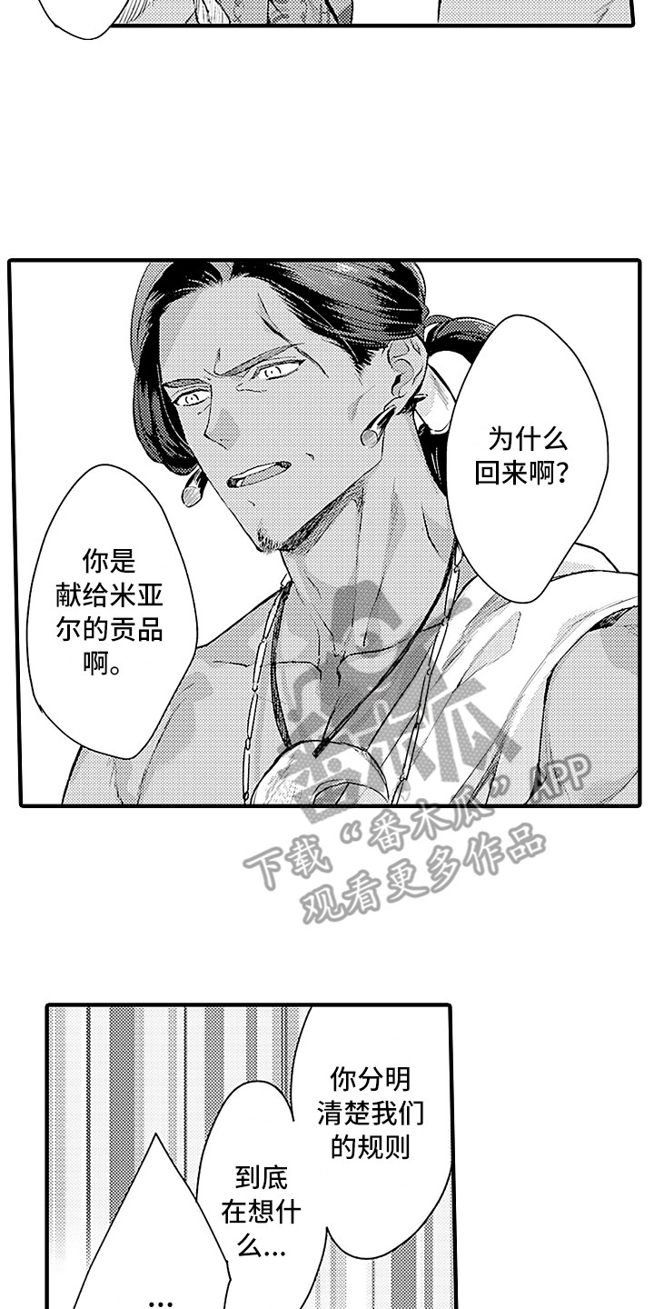 给我鲨鱼的漫画,第27章：规则2图