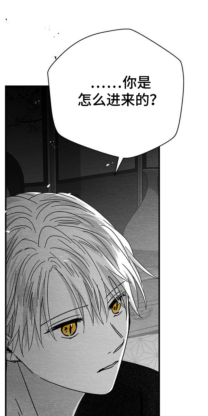 白鳞鱼批发漫画,第11章：被打晕1图
