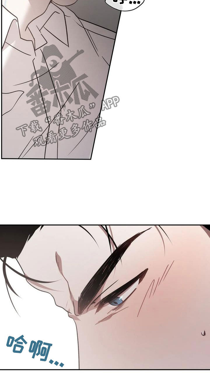 危险运输公司安全管理员有风险吗漫画,第66章：总觉得他可爱5图