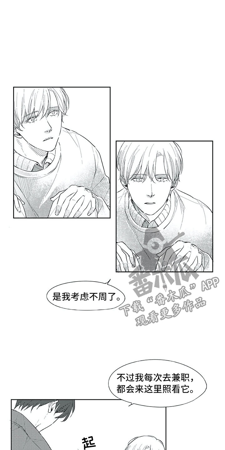 相恋48天漫画,第19章：心乱5图