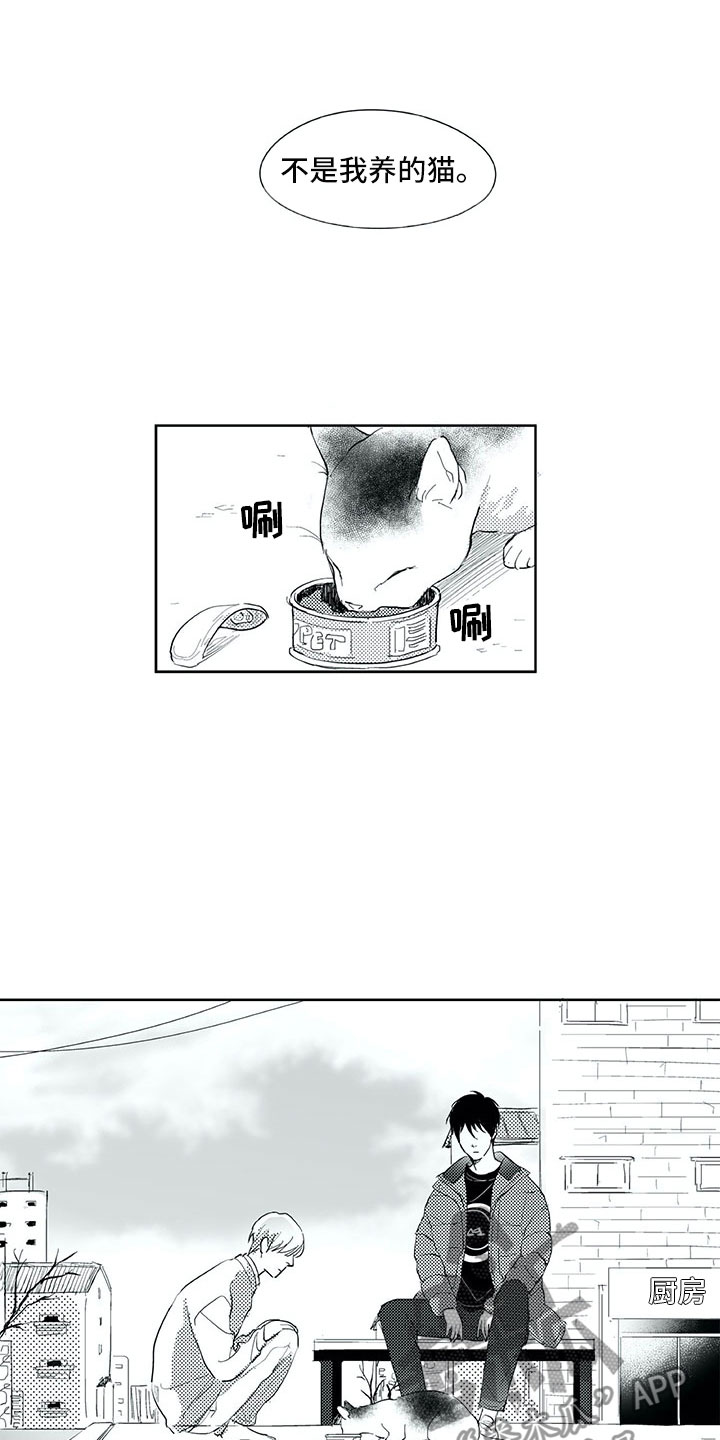 相恋48天漫画,第19章：心乱2图