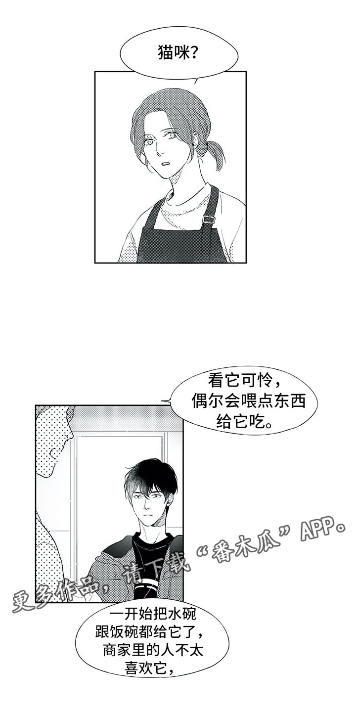 相恋48天漫画,第19章：心乱1图