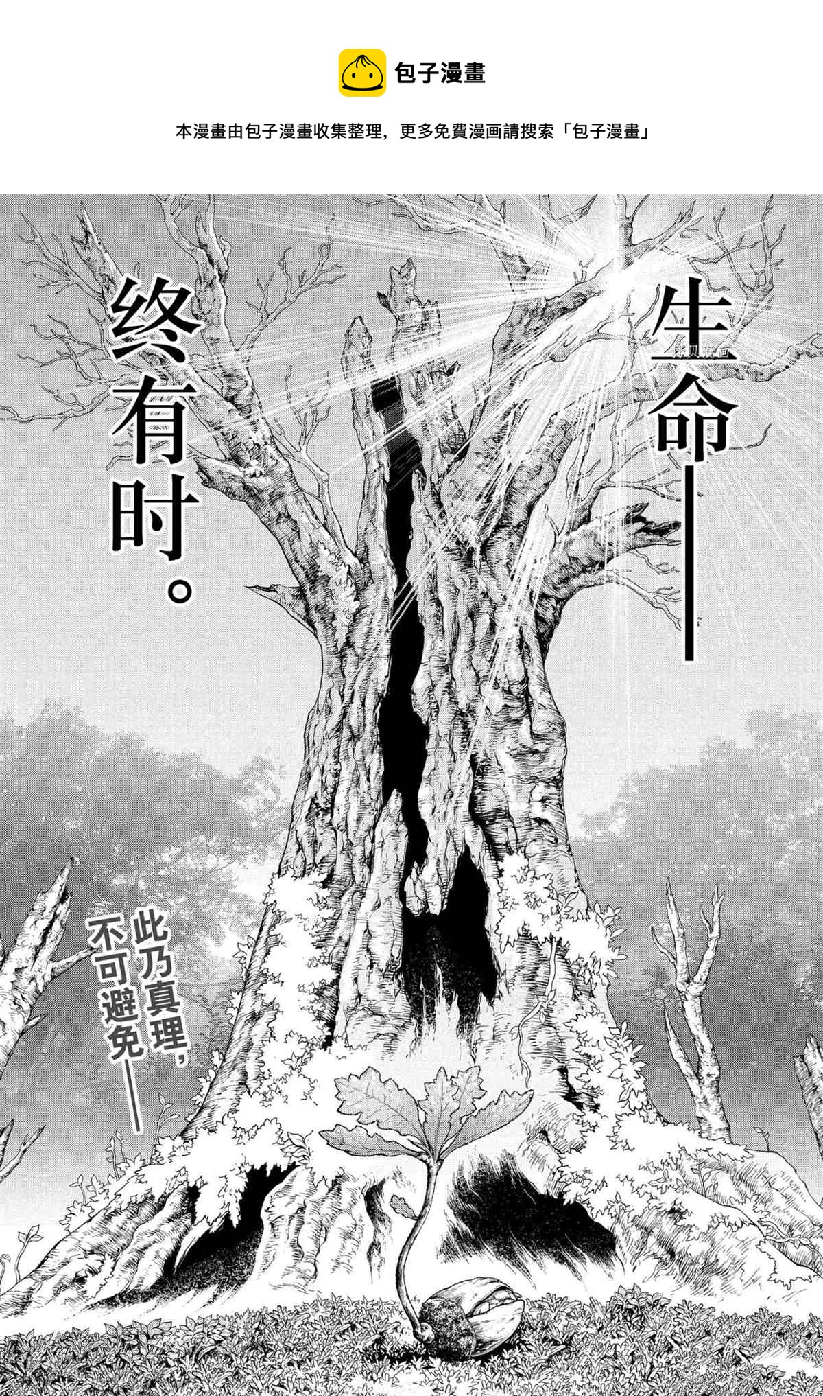 drstone石纪元最后一集漫画,第230话1图