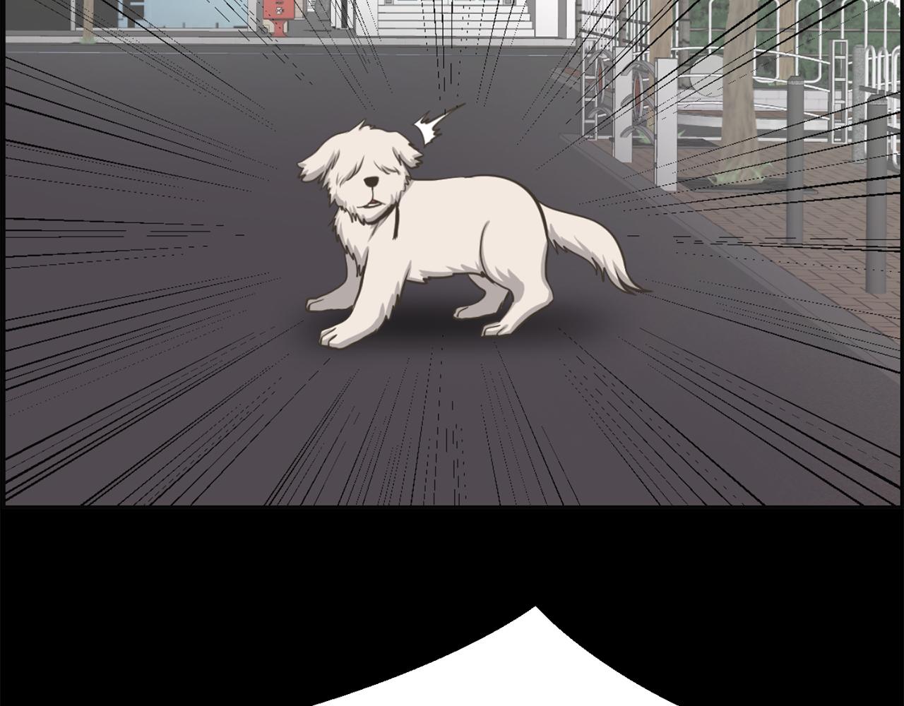 狼女在线播放漫画,第47话 因我而死4图