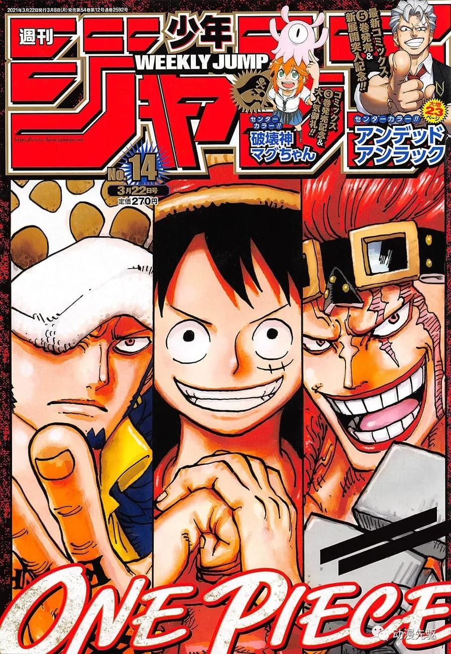 海贼王漫画在线看漫画漫画,第1007话 狸猫先生1图