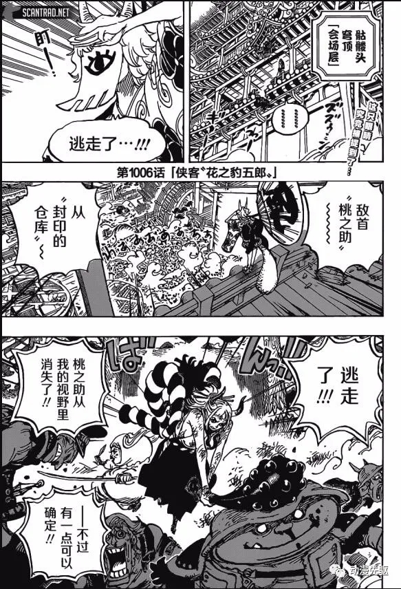 海贼王漫画在线看漫画漫画,第1007话 狸猫先生3图