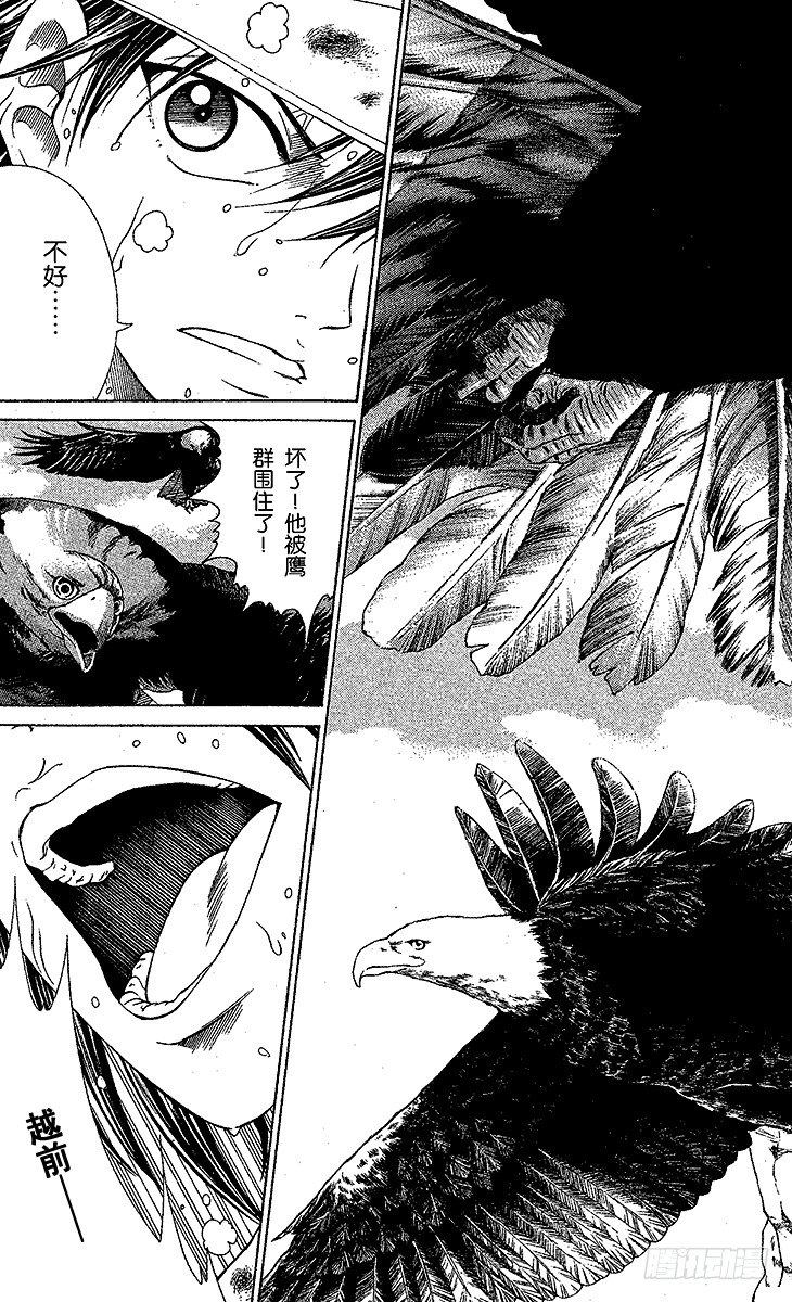 新网球王子漫画免费观看漫画,第24话 狩猎运动员（下）5图