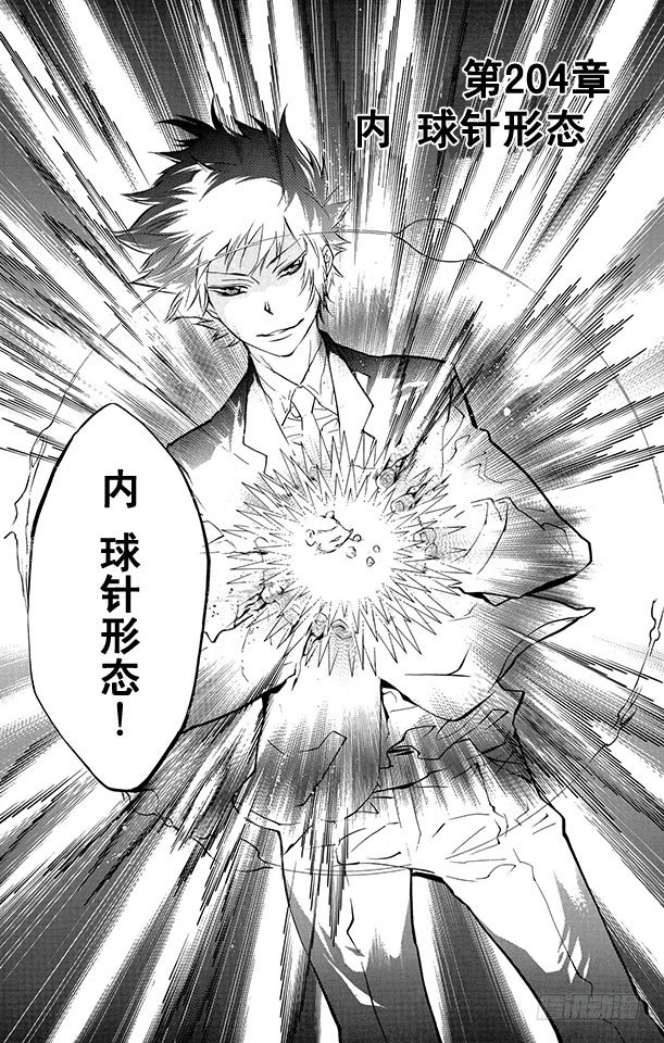 家庭教师杀手漫画漫画,第204话 内球针形态3图