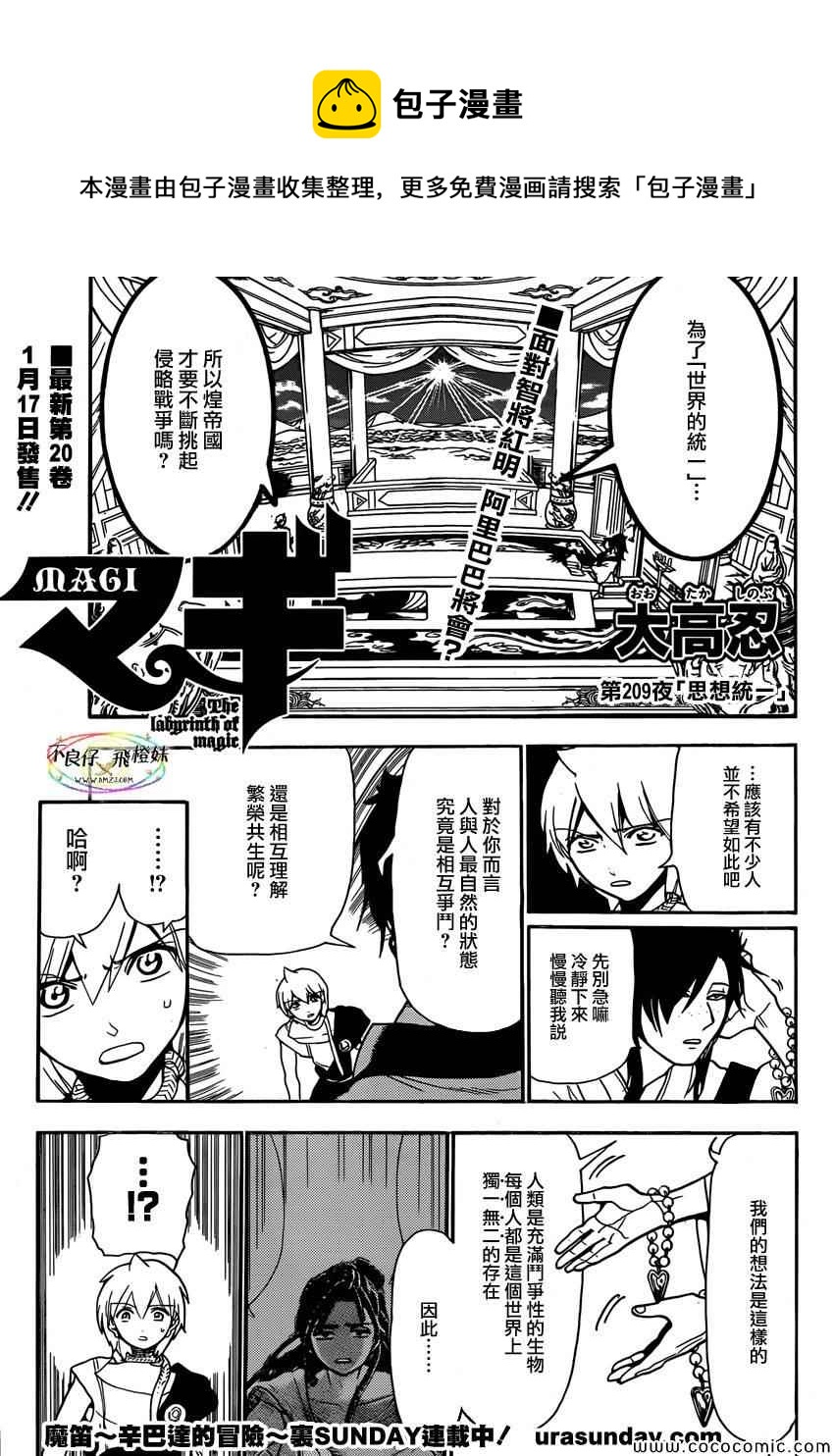 魔笛magi夺舍漫画,第209话1图