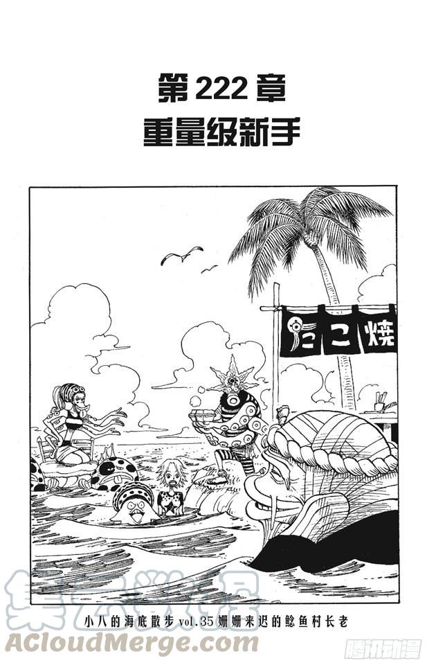 航海王漫画免费阅读下拉式风之漫画漫画,第222话 重量级新手1图